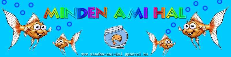 minden-ami-hal